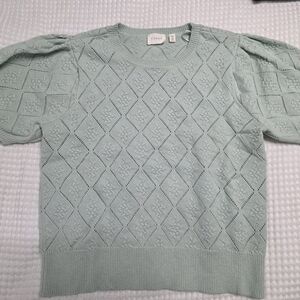 Cyrus Mint Green Crew Neck Sweater